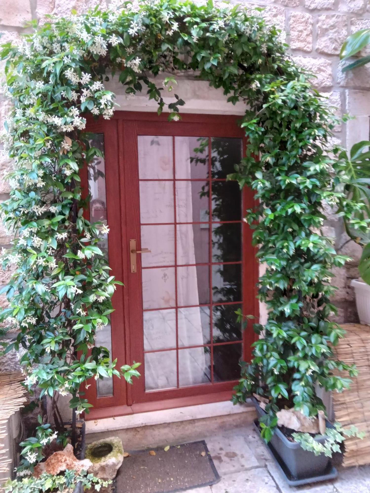 Guest House Jungher Korcula Town Exterior photo