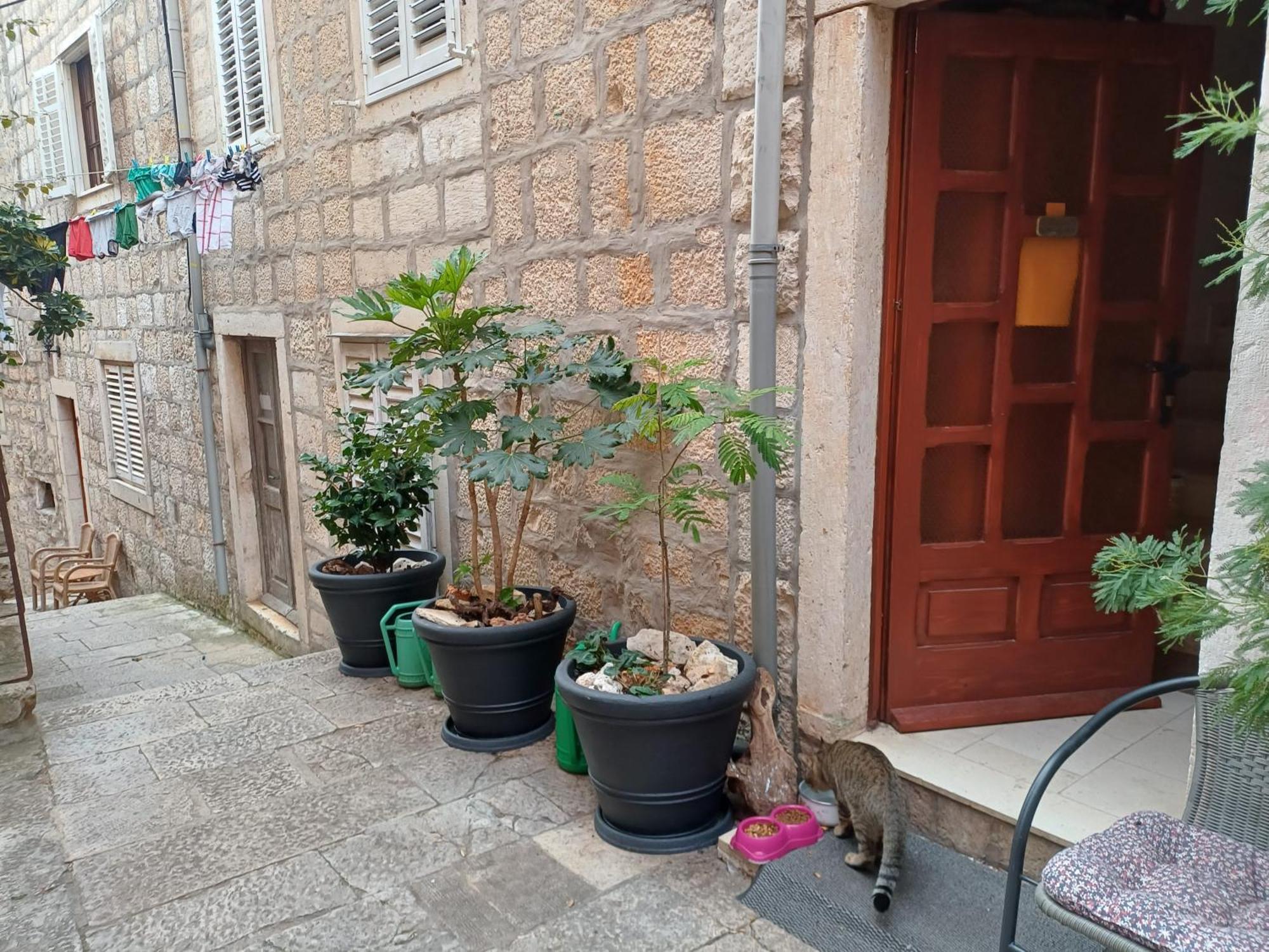 Guest House Jungher Korcula Town Exterior photo